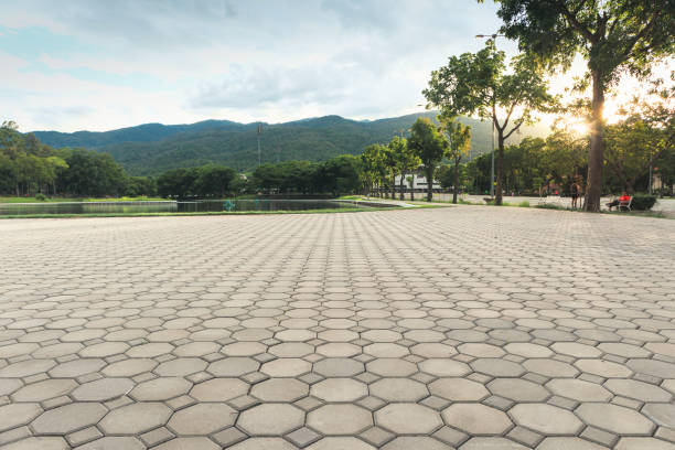 Best Driveway Repair Near Me  in Lake Barcroft, VA